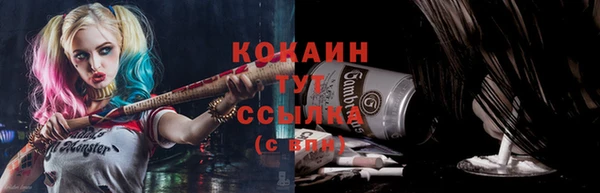 ГАЛЛЮЦИНОГЕННЫЕ ГРИБЫ Абаза
