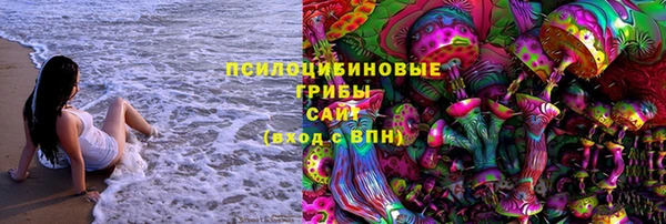 ешки Абинск