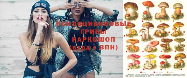 молекула духа Алзамай