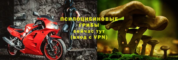 ешки Абинск
