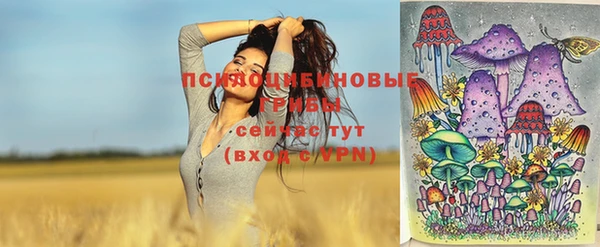 2c-b Абдулино